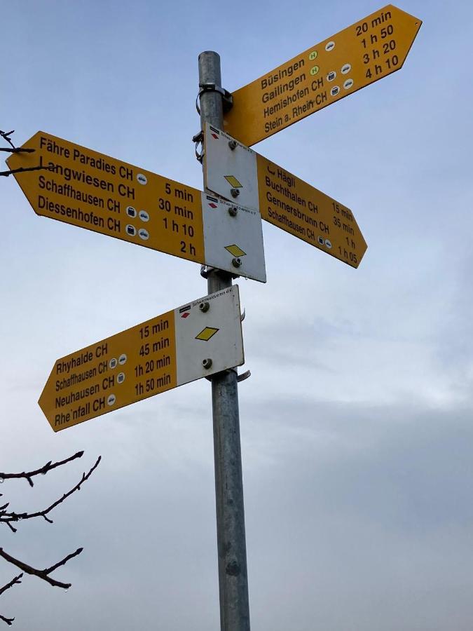 Buesingen Am Hochrhein Radfahren, Wandern, Natur Geniessen מראה חיצוני תמונה