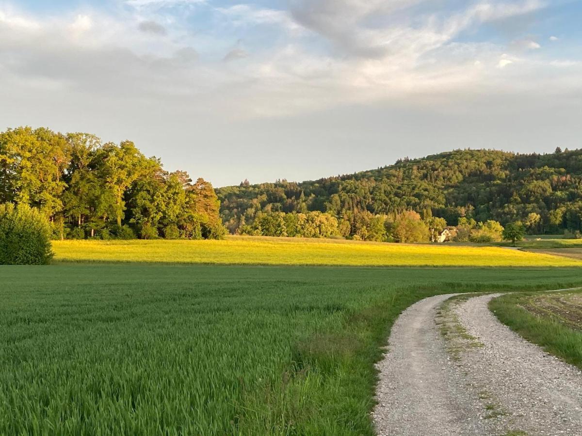 Buesingen Am Hochrhein Radfahren, Wandern, Natur Geniessen מראה חיצוני תמונה