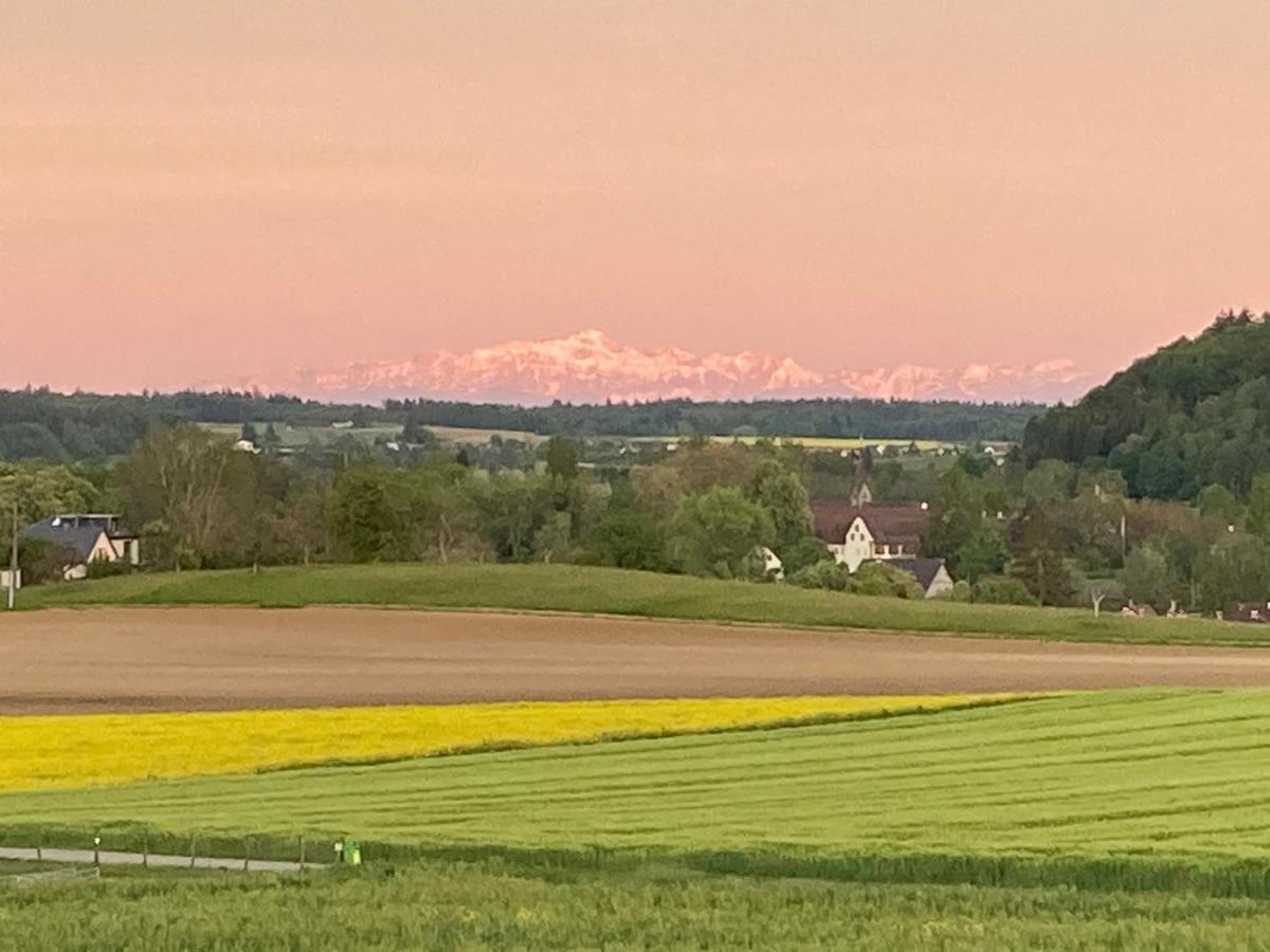 דירות Buesingen Am Hochrhein Radfahren, Wandern, Natur Geniessen מראה חיצוני תמונה