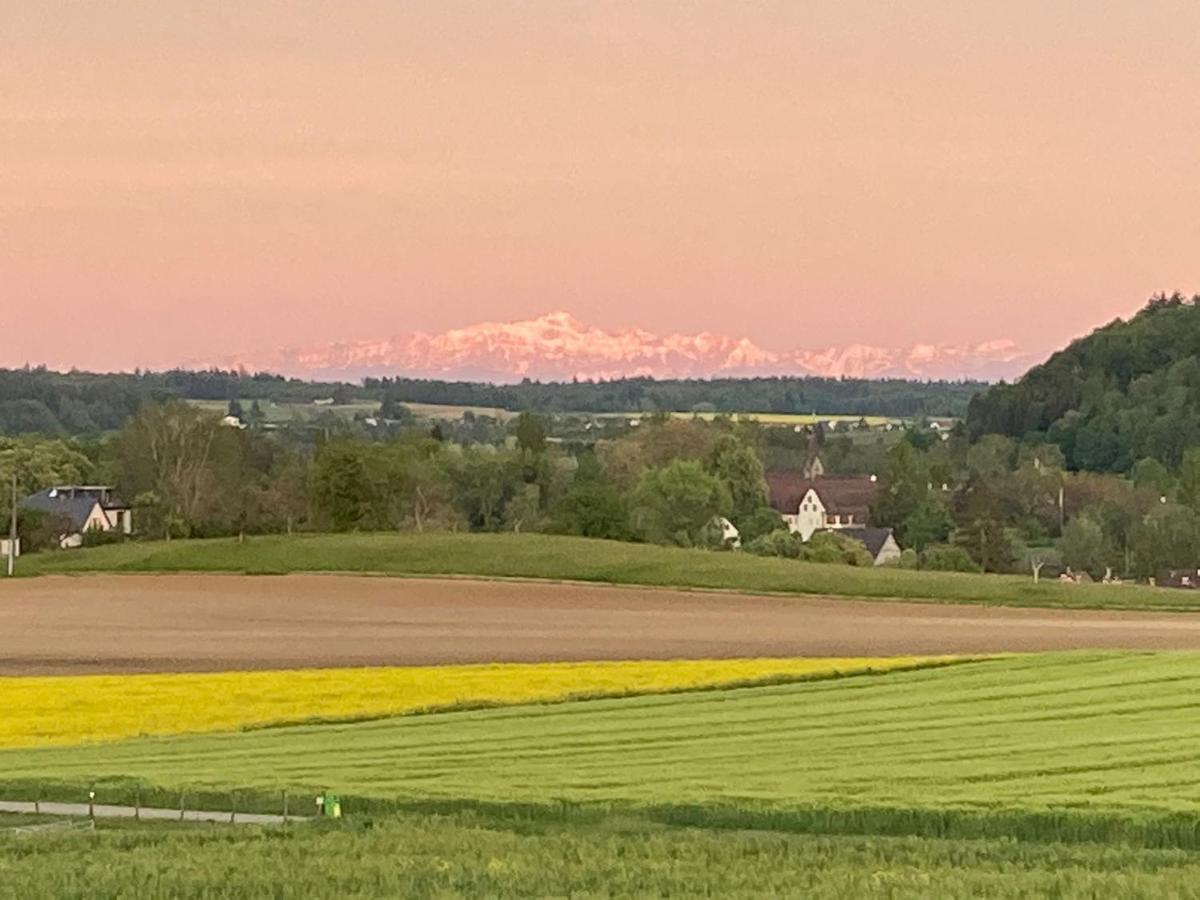 Buesingen Am Hochrhein Radfahren, Wandern, Natur Geniessen מראה חיצוני תמונה