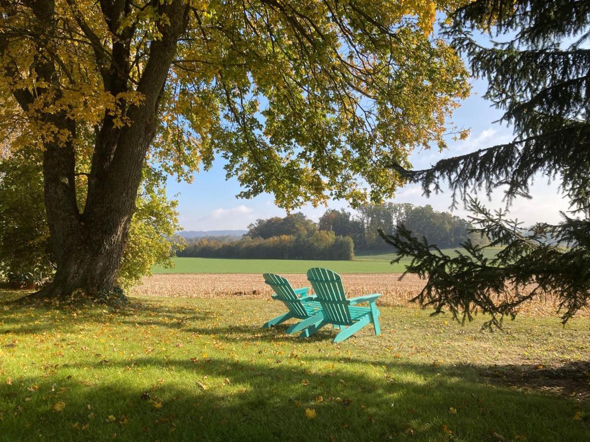 Buesingen Am Hochrhein Radfahren, Wandern, Natur Geniessen מראה חיצוני תמונה